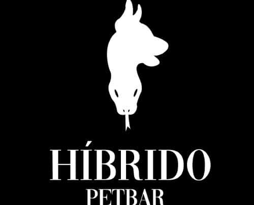 Proyecto de branding realizado por comunicador gráfico en Medellín