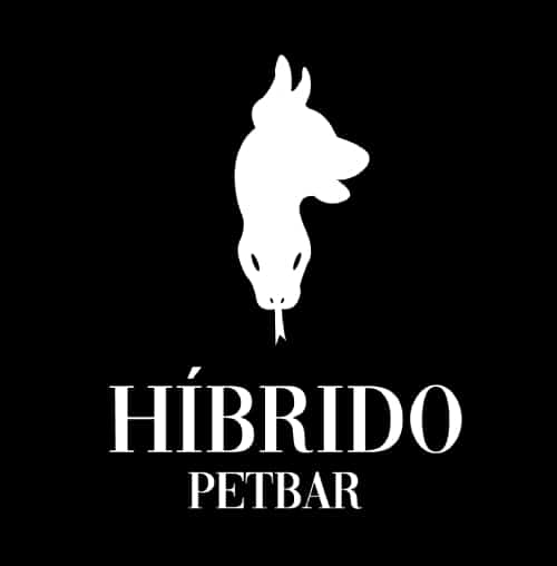 Proyecto de branding realizado por comunicador gráfico en Medellín