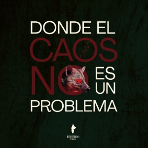 Proyecto de branding realizado por comunicador gráfico en Medellín